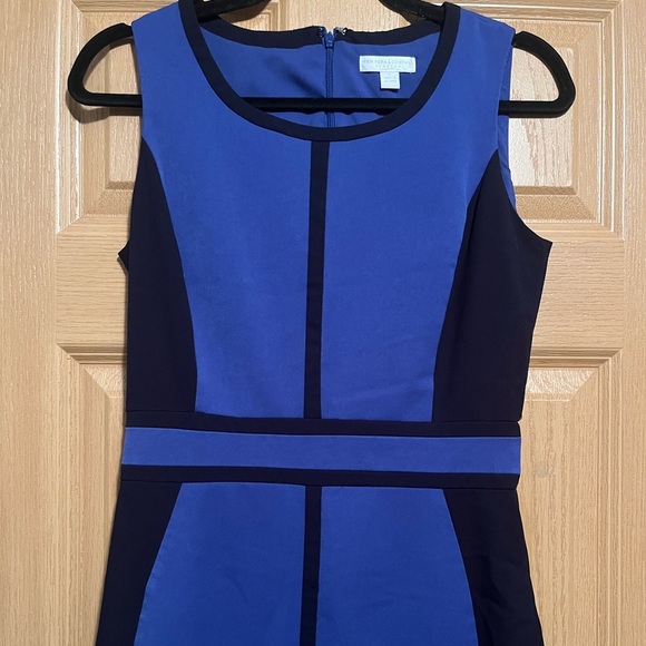 New York & Company Color Block Shift Dress Royal Blue Navy - Picture 7 of 12